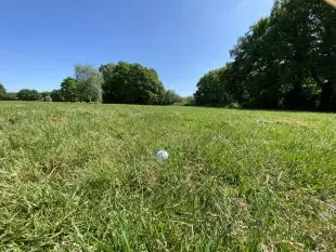 Golf-Rules