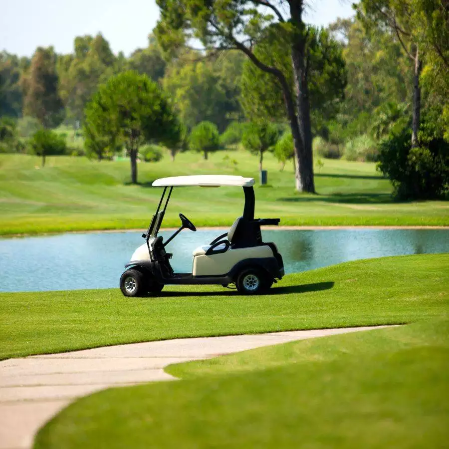 Golf Cart Near the Pond